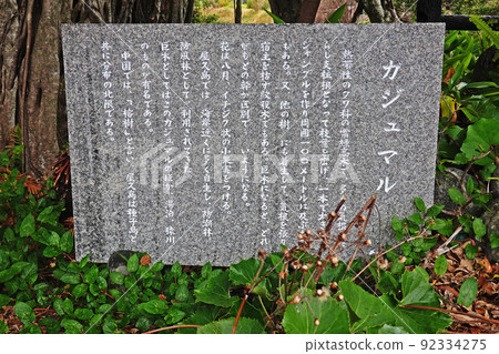 屋久島中部雅壽丸集團 92334275
