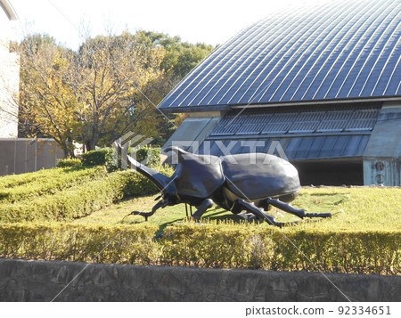 富岡市紅葉平的甲蟲對象 92334651