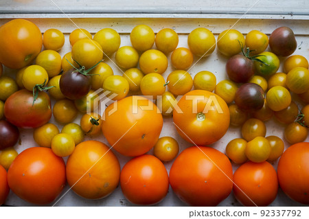 Fresh picked tomatoes on the white window sill. Close up Fresh picked tomatoes on the white window sill. Close up 92337792