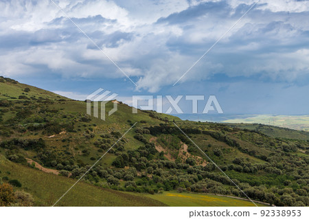 In the Parco della Giara nature reserve on the island of Sardinia 92338953