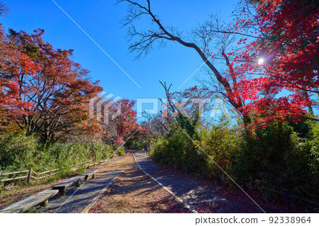 A bench near the teahouse of Momijidai on the way from Mt. Takao in Hachioji, Tokyo to Mt. 92338964