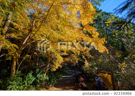 紅葉台前的岔路口,從東京八王子的高尾山嚮甲佛城方向前進 紅葉台前的岔路口,從東京八王子的高尾山嚮甲佛城方向前進 92338966