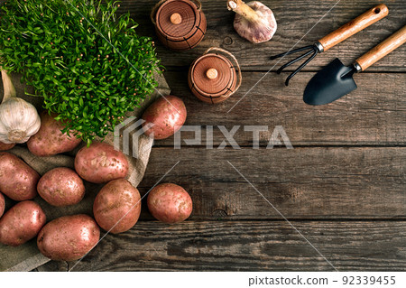 Gardening tools and fresh vegetables over wooden background 92339455