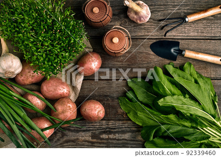 Gardening tools and fresh vegetables over wooden background 92339460