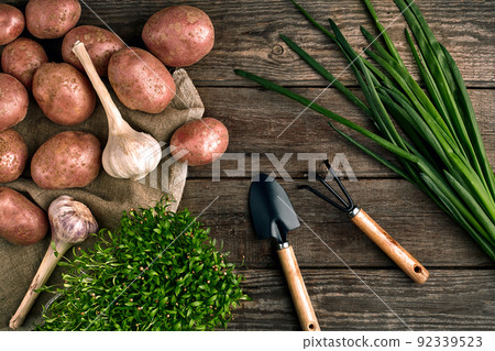 Gardening tools and fresh vegetables over wooden background 92339523