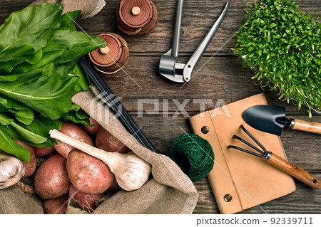 Red potatoes on burlap, garlic with greenery and a garden spade and rake on a wooden brown background 92339711