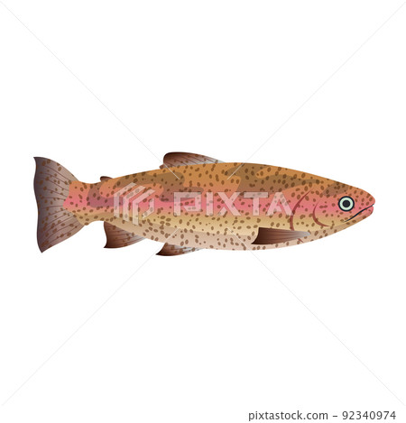 trout fish cartoon vector illustration trout fish cartoon vector illustration 92340974