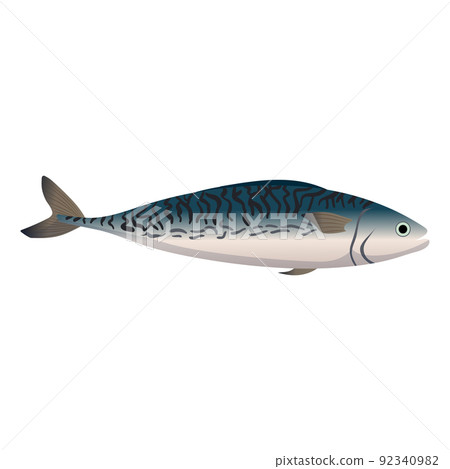 mackerel fish cartoon vector illustration 92340982