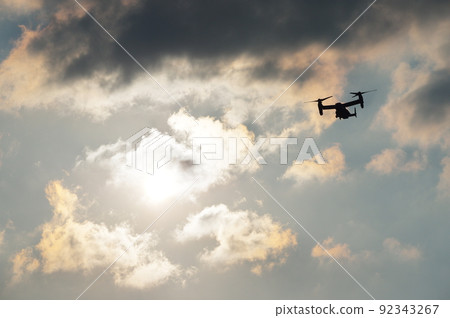 魚鷹在晚上訓練 92343267