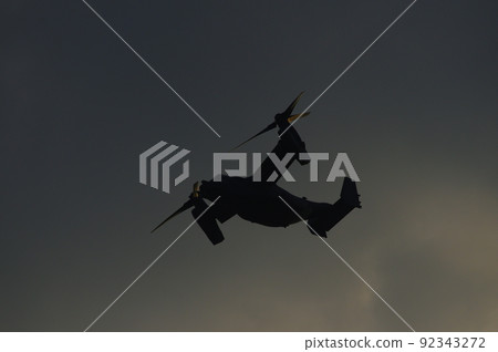 Osprey to train in the evening Osprey to train in the evening 92343272