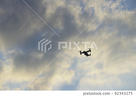 魚鷹在晚上訓練 92343275