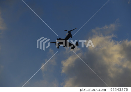 魚鷹在晚上訓練 92343276