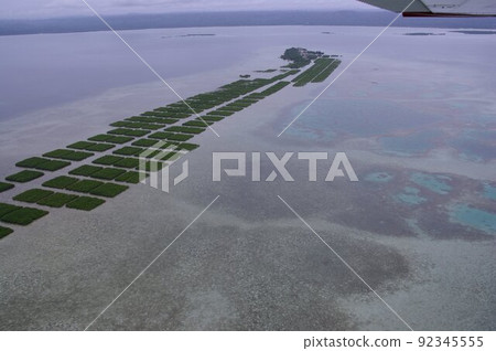 菲律賓宿霧附近海藻養殖村風光（鳥瞰圖） 提取成分並用作化妝品原料 92345555