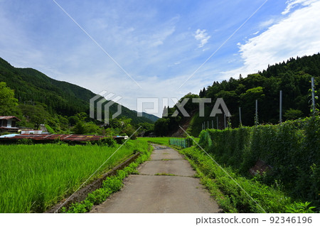 Summer country road Doshi village original scenery 92346196