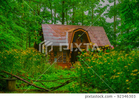 Hut in the forest 92346303
