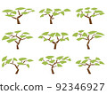 Set of vector images of acacia trees in flat design. 92346927
