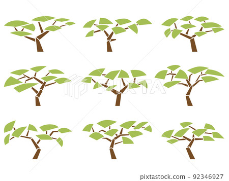 Set of vector images of acacia trees in flat design. 92346927