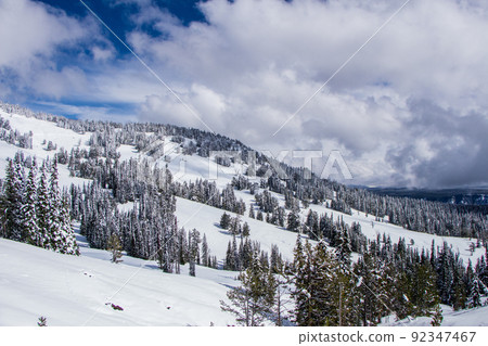 Yellowstone National Park in Autumn 92347467