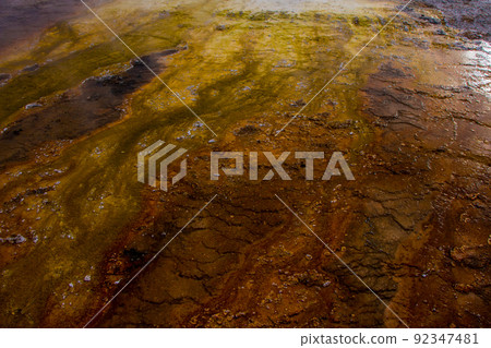 Yellowstone National Park in Autumn 92347481