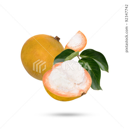 Santol fruit with leaves isolated on white background Santol fruit with leaves isolated on white background 92347742