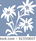 seamless pattern with edelweiss flowers. Snow beauty. Vector illustration. Alpine star. swiss 92350607