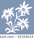 edelweiss flowers. Snow beauty. illustration. Alpine star. swiss symbol. For decoration, prints 92350614