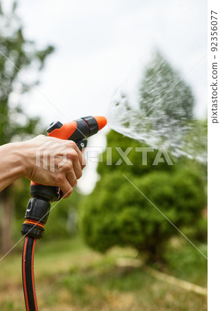 woman watering plant in garden in summer woman watering plant in garden in summer 92356077