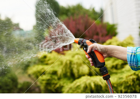 woman watering plant in garden in summer 92356078