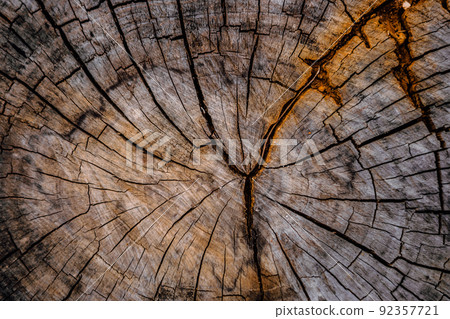 Wooden stump circular, cross section round cut down large dried tree trunk with annual rings texture cracks, multicolor slice cover grey patina. Light dark shadow black blue orange gold brown tones Wooden stump circular, cross section round cut down large dried tree trunk with annual rings texture cracks, multicolor slice cover grey patina. Light dark shadow black blue orange gold brown tones 92357721