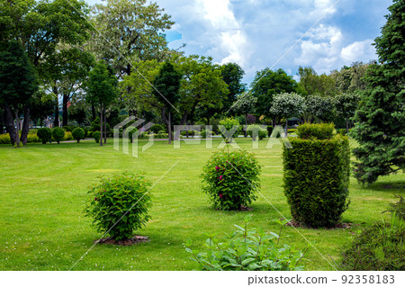 deciduous and molded thuja bushes in parkland garden bed, park landscaping with mulching plants with turf lawn meadow and pine trees on spring backyard, eco friendly theme backdrop, nobody. 92358183