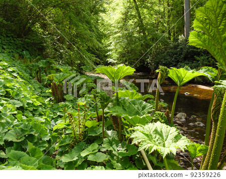 castle in the scotish highlands 92359226