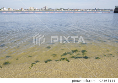 Shinmaiko Coast Chita City 92361444