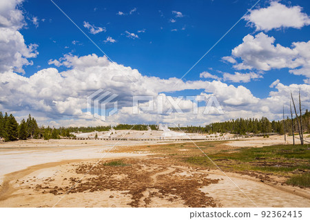 Sunny view of the landscape around Norris Geyser Basin in Yellowstone National Park Sunny view of the landscape around Norris Geyser Basin in Yellowstone National Park 92362415
