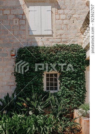 Wooden door in old medieval stone house, green ivy on the house over the door, Rupit, Spain. Magic house from wonderland. The ruins of an old fortress overgrown with plants. Fortress Sveti Ivan. Kotor 92362707