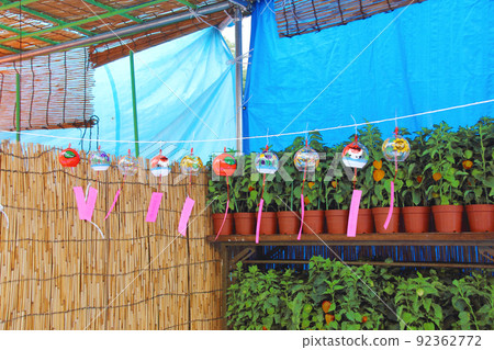 Various summer scenes can be seen at Sensoji Temple's Hozuki Market, where wind chimes sway in the wind and make a cool sound. Various summer scenes can be seen at Sensoji Temple's Hozuki Market, where wind chimes sway in the wind and make a cool sound. 92362772