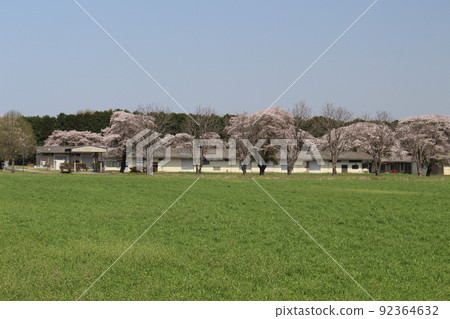 Goryo ranch Goryo ranch 92364632