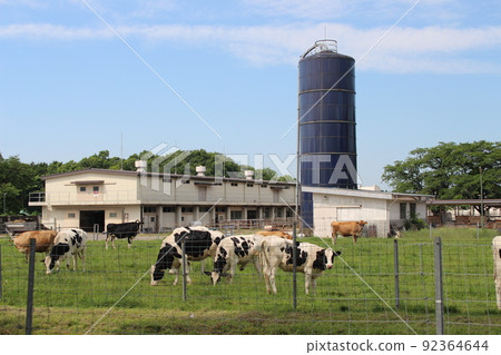 Goryo ranch Goryo ranch 92364644