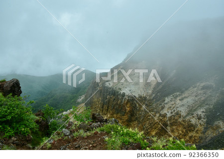 Misty cliffs and alpine plants Misty cliffs and alpine plants 92366350