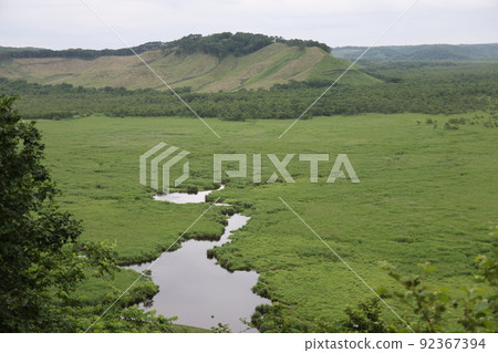 Scenery of Kottaro Swamp from Kottaro Swamp Observatory Scenery of Kottaro Swamp from Kottaro Swamp Observatory 92367394
