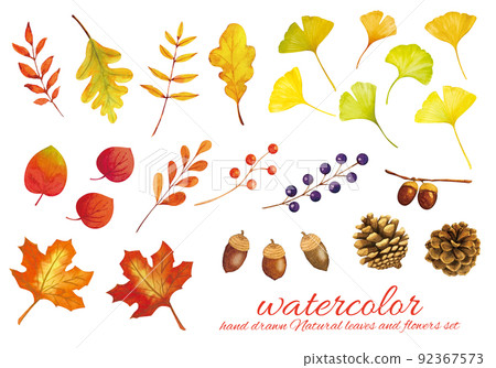 落葉和堅果的水彩材料集 92367573
