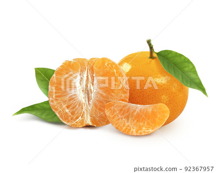 tangerine or mandarin fruit with leaves isolated on white background tangerine or mandarin fruit with leaves isolated on white background 92367957
