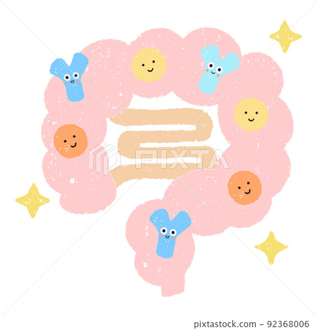 Intestines, bifidobacteria and gut bacteria 92368006