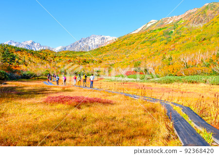 Tsugaike自然花園(秋季) Tsugaike自然花園(秋季) 92368420