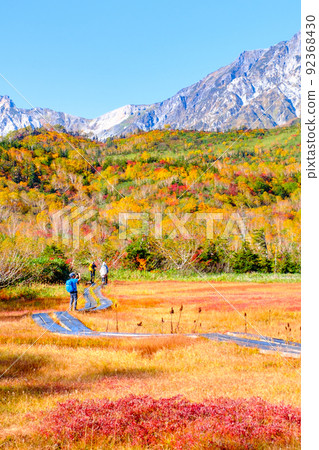 Tsugaike Nature Garden (Autumn) 92368430