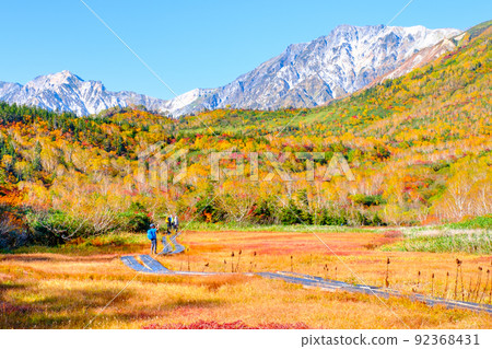 Tsugaike Nature Garden (Autumn) Tsugaike Nature Garden (Autumn) 92368431