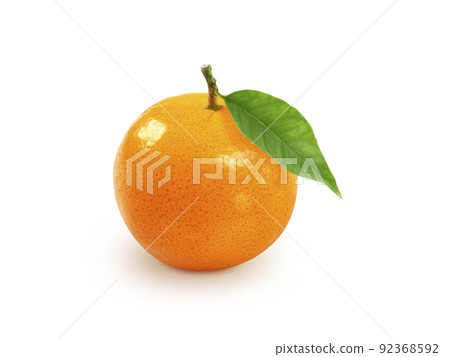 tangerine or mandarin fruit with leaves isolated on white background 92368592