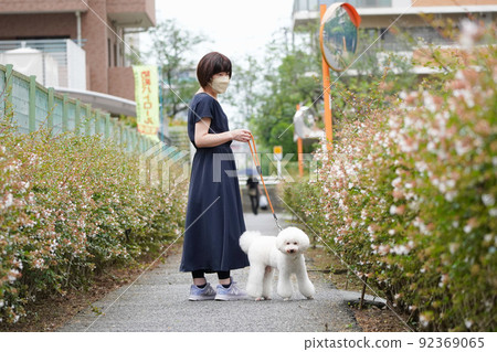 一個女人帶著她的狗沿著長廊散步 一個女人帶著她的狗沿著長廊散步 92369065