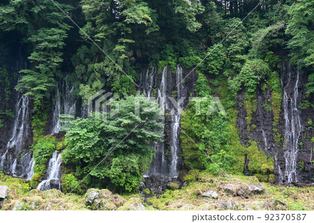 Shiraito Waterfall at the foot of Mt. Fuji (World Heritage Site) 92370587
