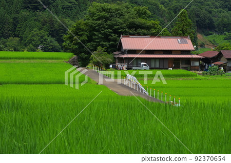 Road through the countryside Rice terraces in Tomioka 92370654
