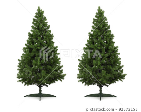 Real Christmas tree, isolated on white background 92372153